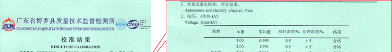 電力深夜黄色网站證書報告結果頁